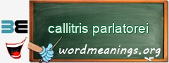 WordMeaning blackboard for callitris parlatorei